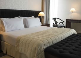 Holiday Inn ROSARIO by IHG 2