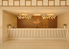 Lemon Tree Premier, Delhi Airport 5
