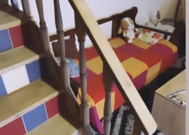 Cosy and Familiar Maisonette in Agious Deka, Corfu 3