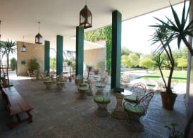 Lantana Garden 3