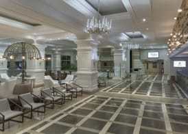 Delphin Diva Premiere 3