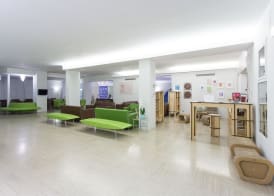 Art Hotel Gran Paradiso 4