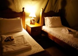 Port Lympne Reserve - Livingstone Lodge 3