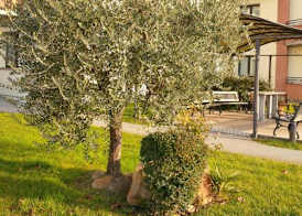 Hotel Da Vito 4