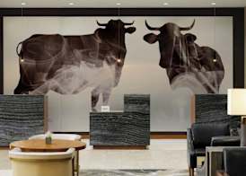 Durham Marriott City Center 5