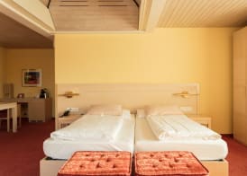Engimatt City & Garden Hotel 4
