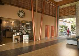 Divi Village Golf and Beach Resort 2
