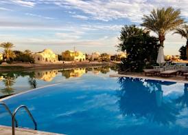 Dawar El Omda Hotel - Adult Only 4