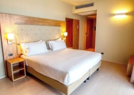 Tower Hotel Malpensa 4