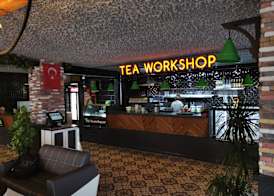 Beyond Otel 2