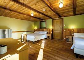 Mirtillo Alpino Casa Vacanze 5
