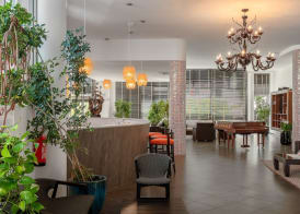 The Pelican Beach Resort & SPA - Adults Only 2