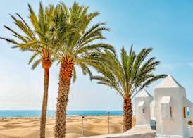 Sahara Beach Club 5