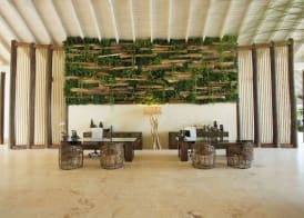 Viva V Samana by Wyndham, A Trademark Adults All Inclusive 4