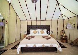 Desert Luxury Camp 2