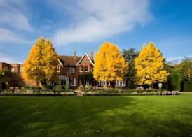 The Cosener's House 3