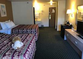 Kings Inn Cody 3