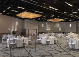 Hyatt Regency Houston Downtown 5