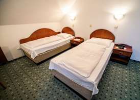 Guesthouse Leski Dvor 5