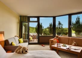 H+ Hotel Willingen 4