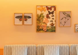 Inturotel Esmeralda Garden 4