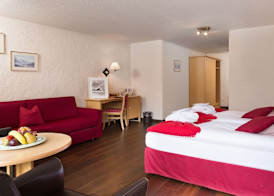 Hotel Spinne Grindelwald 5