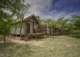 Nkambeni Safari Camp 3