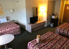 Kings Inn Cody 5