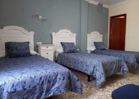Hotel Medina Centro 5