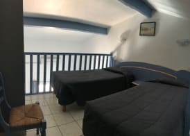 Hotel Les Palmiers En Camargue 5
