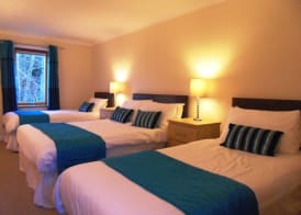 Luccombe Manor Country House Hotel 2