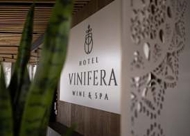 Hotel Vinifera Wine & Spa 5 Stars Superior 2