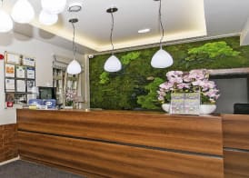 Apart Neptun 3