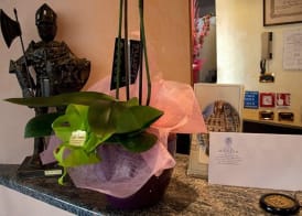 Hotel Monica 2