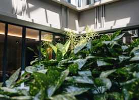 Grand Duka Hotel & SPA 2