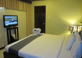 Richmond Plaza Hotel 3