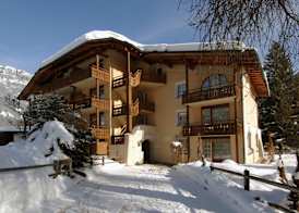 Soldanella by Hotel Adula 3