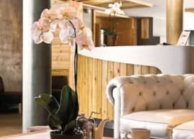 Anova Hotel & Spa 4