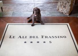 Le Ali Del Frassino 3