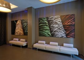 Hotel Constanza 4