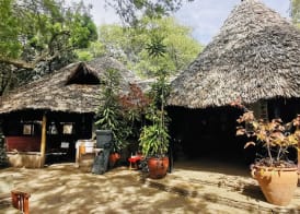 Fig Tree Camp 2