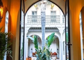 Riad XO 4