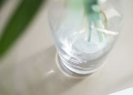 Hotel Scheuble 4