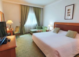 Les Oliviers Palace 5