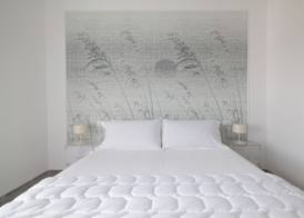 Albergo Minerva 4