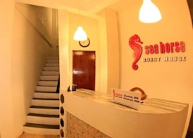 Sea Horse Guest House 2