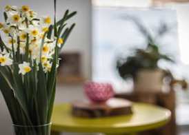 Island Boutique Hotel 4