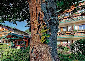 Steinbach-Hotel - inklusive Chiemgaukarte 4
