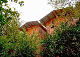 Bayrams Tree Houses 5