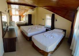 Green Palm Hotel 5